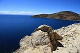 BOLIVIA - Isla del Sol - Titicaca Lake - 28